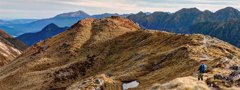 Kepler Track