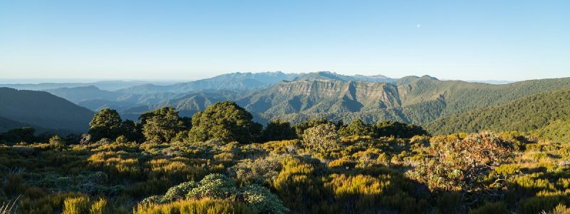 Paparoa Track
